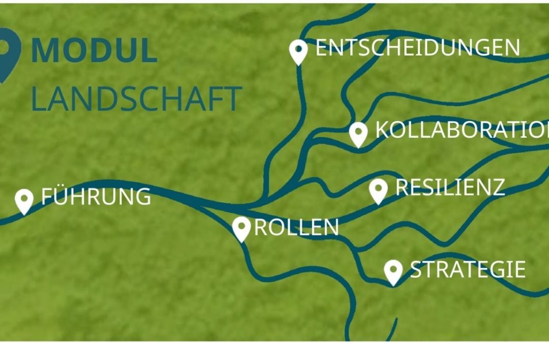 CLEE – Community Learning für Ehrenamtliche und Entscheidungsträger:innen