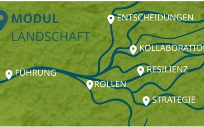 CLEE – Community Learning für Ehrenamtliche und Entscheidungsträger:innen