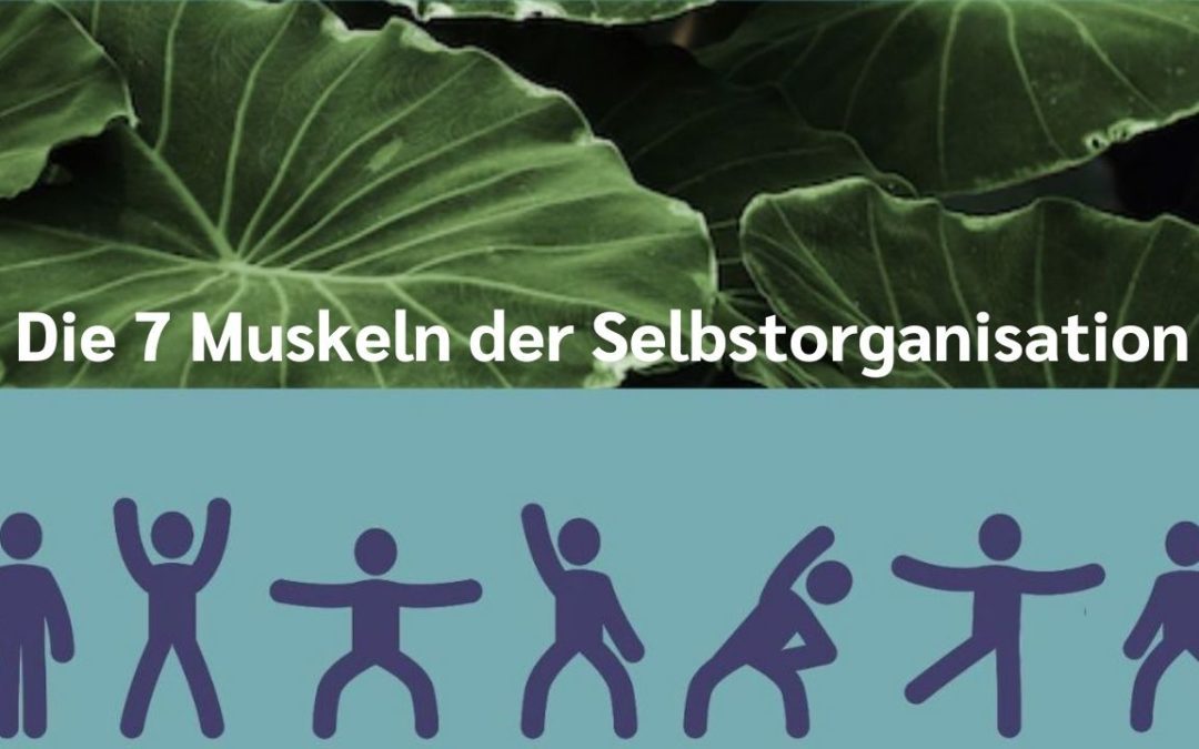 Die sieben Muskeln der Selbstorganisation