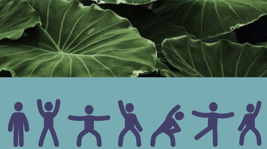 Die sieben Muskeln der Selbstorganisation – Next Steps!