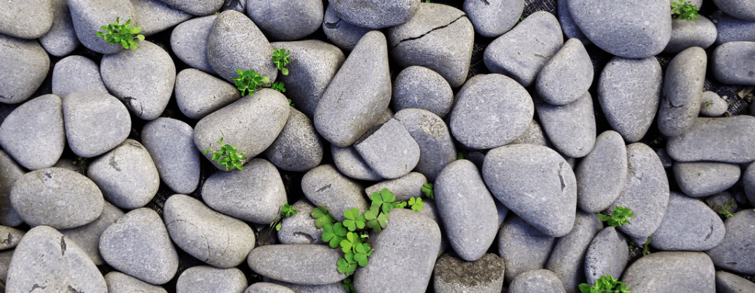 ausgebucht: SOCIUS Werkstattzyklus: gOe! – gemeinnützige Organisationen entwickeln in Berlin