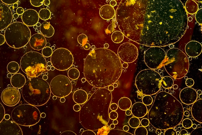 Reflexionen im Schaum