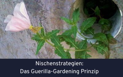 Kulturwandel von der Peripherie 