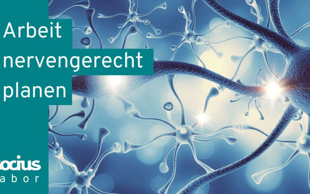 Labor in Berlin: Arbeit nervengerecht planen