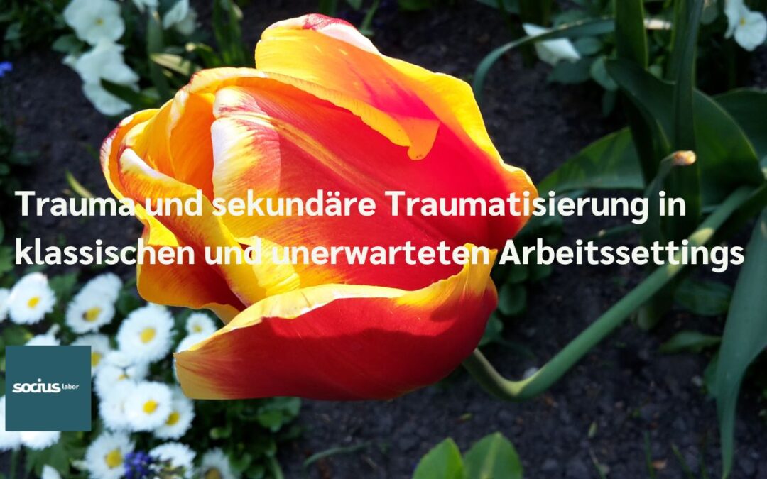 AUSGEBUCHT! SOCIUS labor live: Trauma und sekundäre Traumatisierung