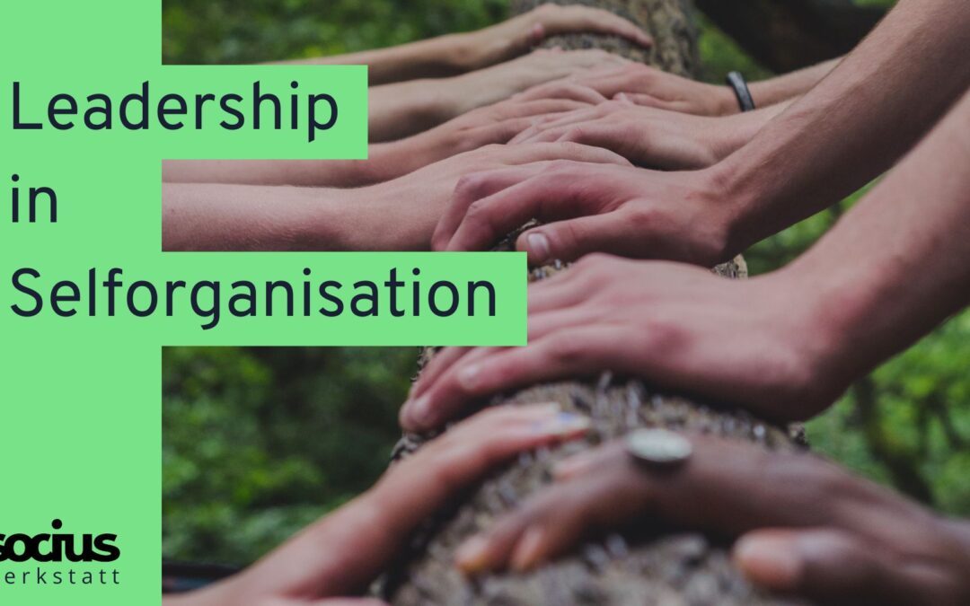 Anmeldung bis 10.9.: SOCIUS Forschungswerkstatt: Leadership in Selforganisation