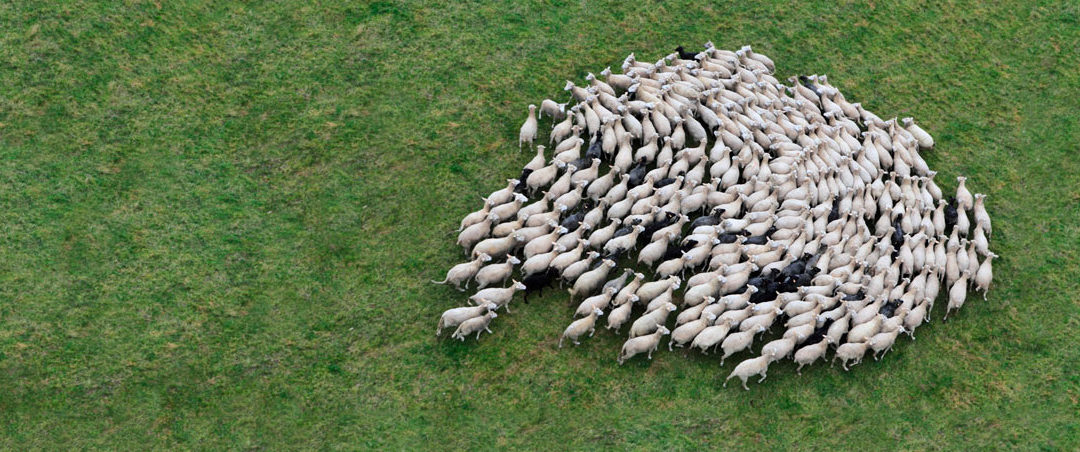SOCIUS Führungsakademie: Der Mann führt – und wie!?