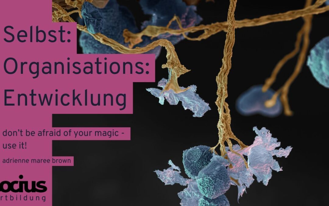 Fortbildung in Stolzenhagen: Selbst:Organisations:Entwicklung