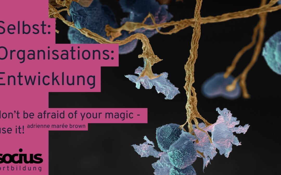 Coming soon – Selbst:Organisations:Entwicklung
