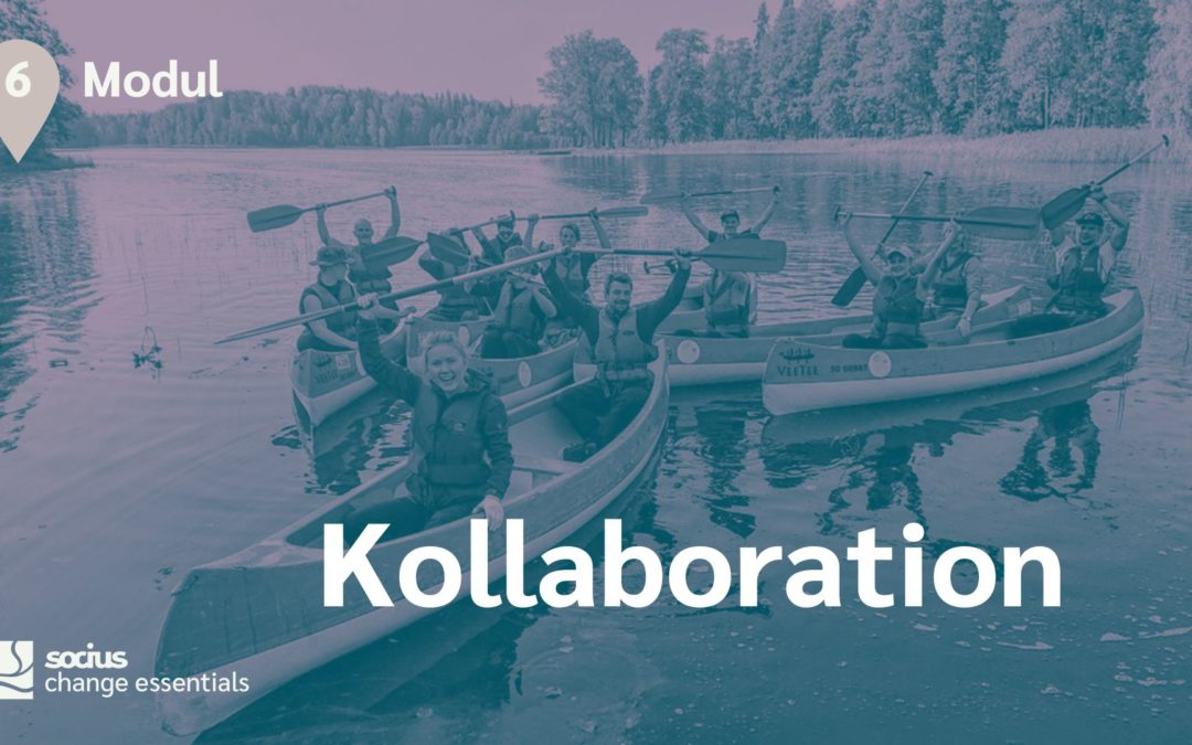 Das Kollaborations-Kontinuum