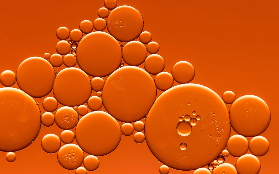 SOCIUS labor online: Bindung und Verbindung – Wie unsere Bindungsmuster unsere Arbeitsbeziehungen beeinflussen