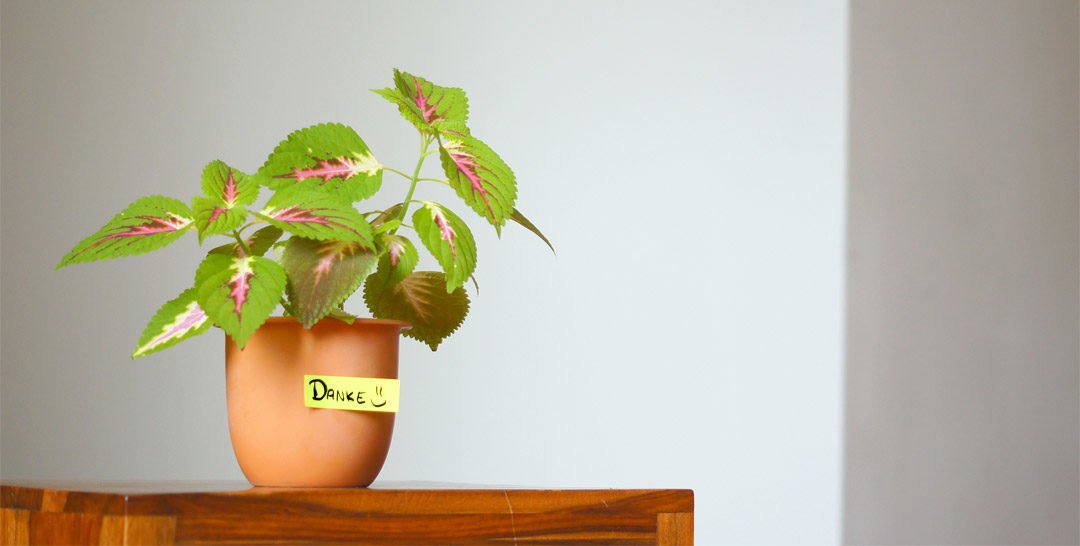 Eine Haltung der Freigiebigkeit und Dankbarkeit