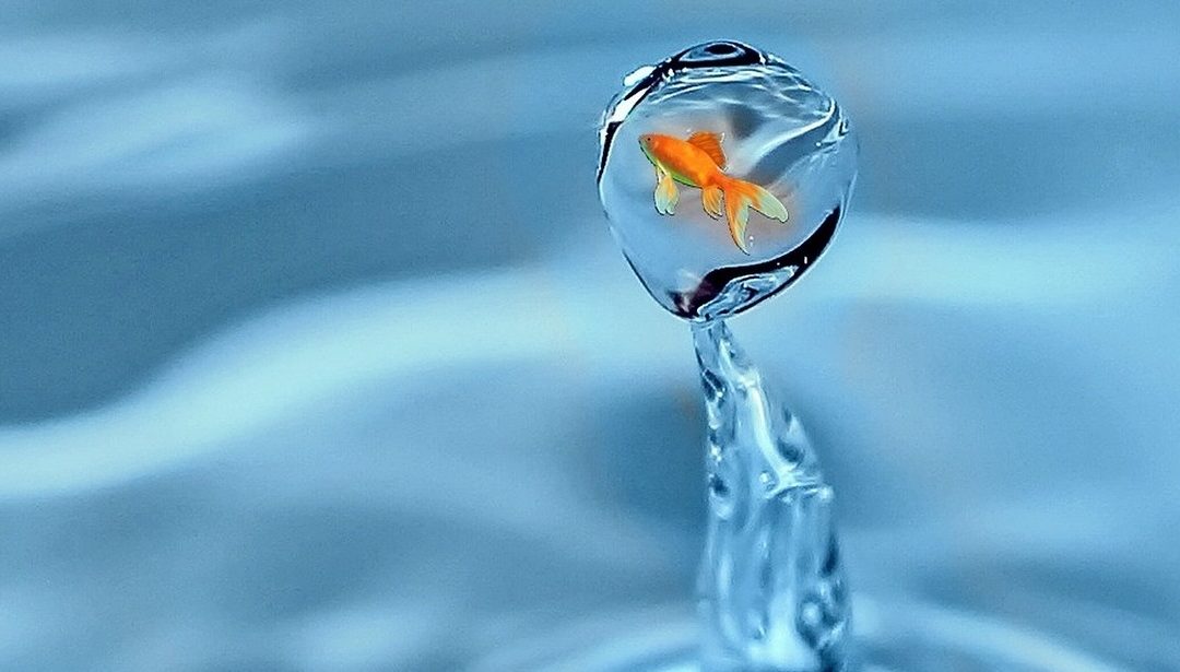 SOCIUS labor Bericht: Digital Storytelling – Persona-Entwicklung