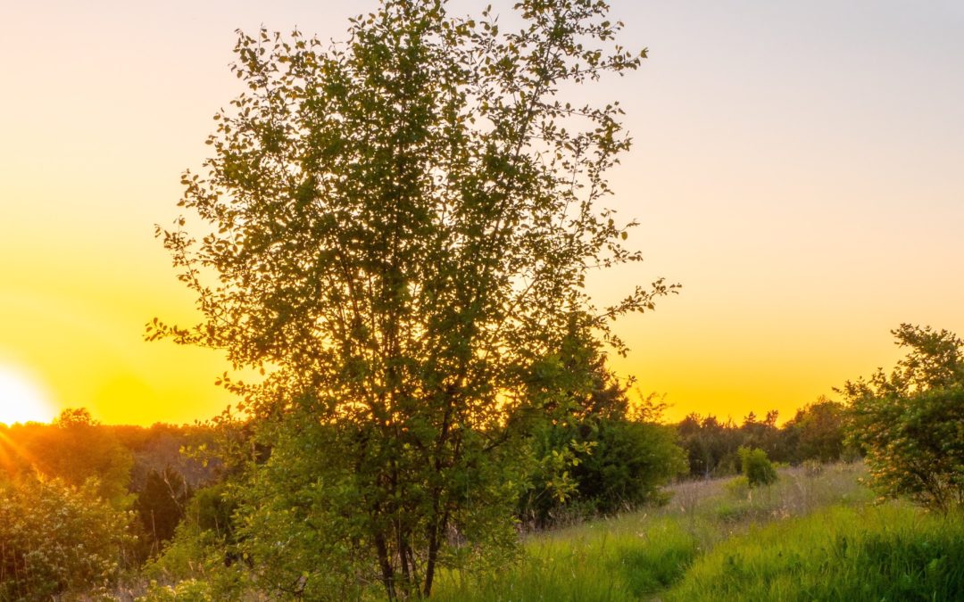 SOCIUS Werkstattzyklus: gOe! – gemeinnützige Organisationen entwickeln in Stolzenhagen
