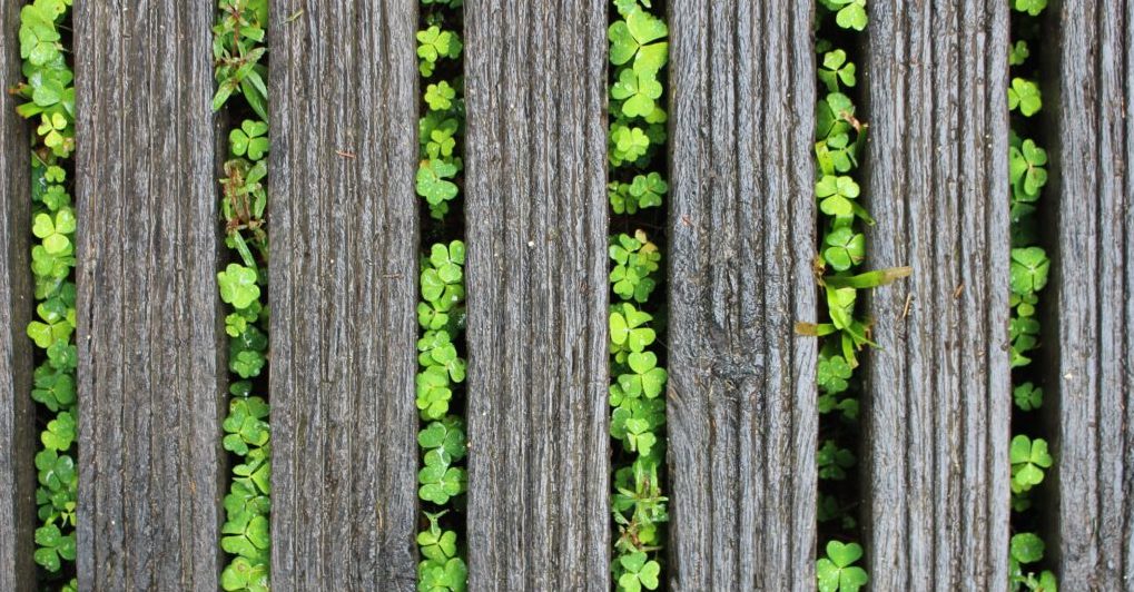 Diversity is not about them. It’s about you!