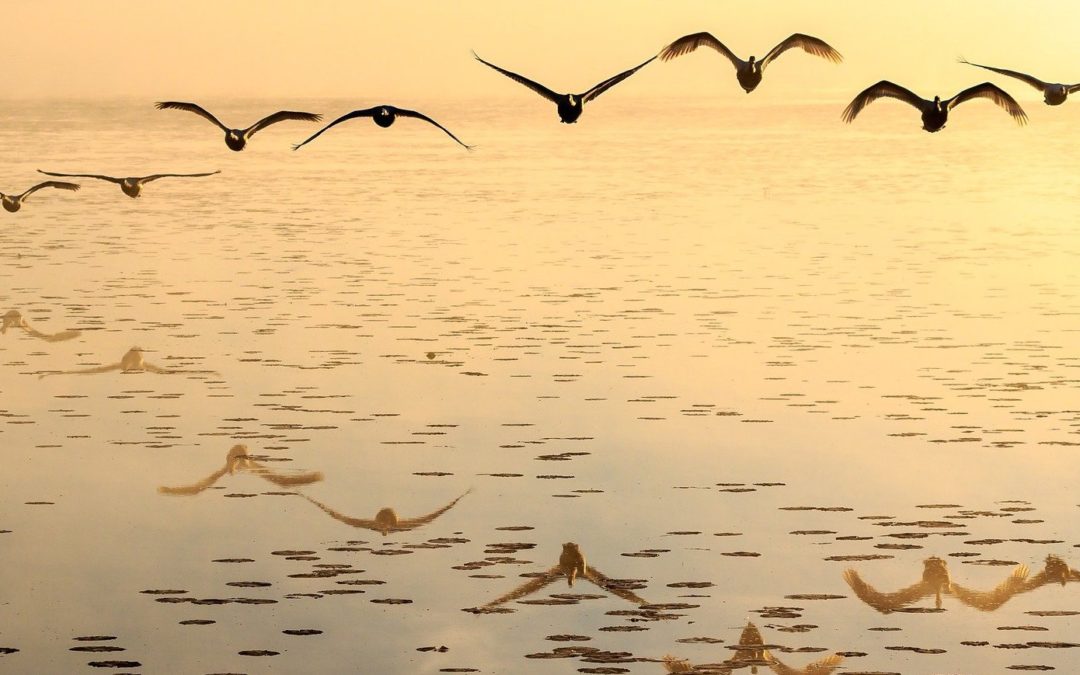 SOCIUS Jahresfortbildung: Führen mit Haltung – im mittleren Management